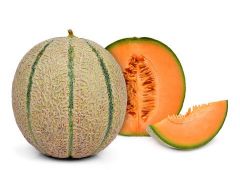 Cantaloupe Melon 