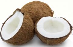 Coconut (Super 6) 