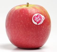 Apples (Pink Lady - Loose) 