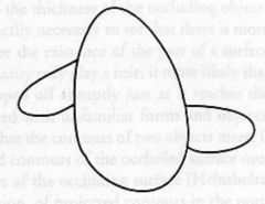 Two partial occlusions do not appear to link up behind the occluder (they are seen as two separate objects). They are NOT perceptually relatable 