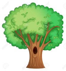 Tree/Wood