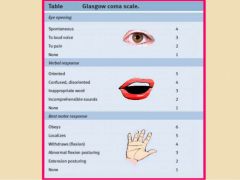 The categories rated for the Glasgow Coma Scale are:


 


    1. eye opening.


    2. verbal responses.


    3. motor responses.
