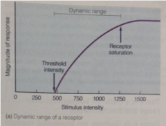 Response of receptor increases with increasing intensity