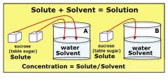 the number of molecules or ions in a given volume of a substance, expressed as moles of solute per litre of solution (molarity) 