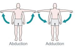 Movement toward the midline of the body