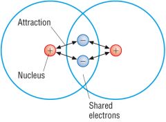 No charge as they share electrons equally