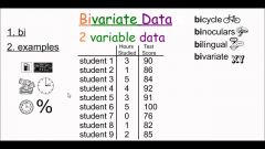 Data with two variables.