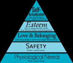 ultimate psychological need that is at the very top of Maslov's pyramid