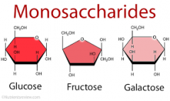 The simplest carbohydrates in that they cannot be hydrolyzed (broken down) to smaller carbohydrates
Glucose- "Most important fuel" in the body
Fructose- Monosaccharide found in many fruits (high-fructose corn syrup)
Ribose/ Deoxyribose- Ribose com...