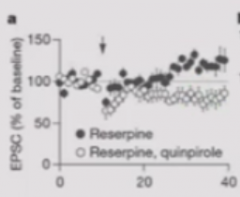 Strength of synapse at baseline is 100%
Treat with reserpine which depletes monoamine stores so no dopamine - then do not observe plasticity
If treat with both reserpine and quinpriole (agonist of D2 receptors), do get LTD