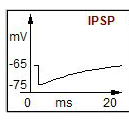 Graded hyperpolarisation, an IPSP