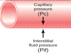 Pc

Forces fluid outward through capillary membrane