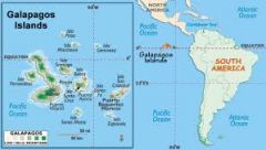 Galapagos 