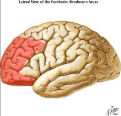 The prefrontal cortex of the frontal lobe is associated w/ what Brodmann areas?

What functions does it participate in?