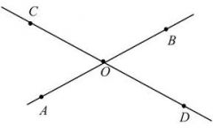 *same vertex 
*nonadjacent 
*formed by 2 intersecting lines
*are congruent