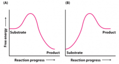 Reaction-progress curves for two different reactions are shown below.  Which of the following statements is true?