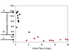 Label the arrows in this graph of Regulation of Extracellular Fluid Osmolarity by Regulating Urine Osmolarity.