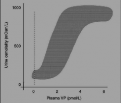 An increase in plasma concentration of ADH/VP causes the (a) ___________________ in renal water reabsorption and (b) ___________________ in urine osmolarity.
