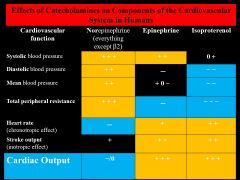 In the above table, would the presence of ATROPINE change the effects of NE on cardiac output? How? By what mechanisim?