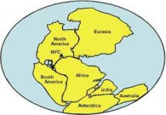 about-200 mil. year ago
-where all the land masses grouped together formed vast supercontinent call pangaea