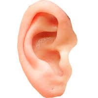 Is this an ear?