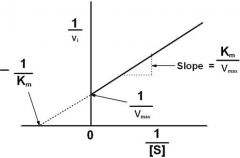 It's just the double reciprocal of MM eqn.
Note on image:
→ X intercept = -1/Km
→ Y intercept = 1/Vmax
→ Slope = Km/Vmax