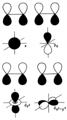 S, pz, dx^2, d(x^2 - y^2)