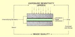 Decrease exposure time. 
Light more easily develops film than radiation. Calcium tungstate produces light when exposed to radiation decreasing the amount of time needed. However this also causes blurry film
