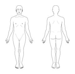 The body is erect or standing with the arms at the side and palms turned forward. The head and feet are also pointing forward.