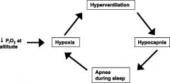 cyclic central apnea-hypopnea
during sleep
acute altitude change
increased with degree of elevation  > 2500 m
repeated awakening from sleep