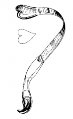 Identify the following retractor