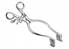 Identify the following retractor