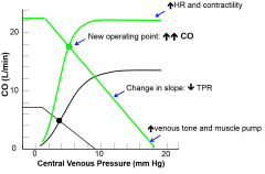 Exercise -> sympathetic activation -> increased contractility and HR -> increased slope of CFC
Vasodilation -> decreased TPR = increase in slope of VFC
Sympathetic activation -> increased venous tone -> increase in dead pressure = increase in VFC
...