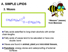 simple lipids