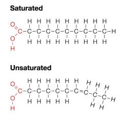 SATURATED FATS