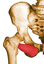 O: obturator foramen & obturator membrane


 


I: trochanteric fossa of femur


 


A: hip ER


 


N: obturator nerve