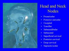what Lymph Nodes filter lymph form the head and neck regions? 