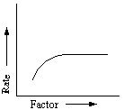 What factor could be changed (increased) to produce the graph above showing the rate of enzyme activity?