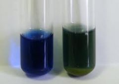 SIMMONS CITRATE AGAR  contains SODIUM CITRATE as the sole carbon source.  Bacteria that are able to utilize sodium citrate will produce an alkaline product (sodium carbonate) that changes the pH indicator (BROMTHYMOL BLUE) from green to Prussian b...