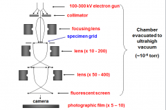What are the basic principles of Transmission Electron Microscopy (TEM)?
