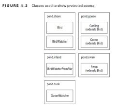 The protected access modifi er adds the ability to access members of a parent class.
package pond.shore;
public class Bird {
protected String text = "floating"; // protected access
protected void floatInWater() { // protected access
System.out.pri...