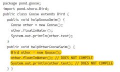 The fi rst method is fi ne. In fact, it is equivalent to the Swan example. Goose extends Bird. Since we are in the Goose subclass and referring to a Goose reference, it can access protected members. The second method is a problem. Although the obj...