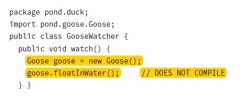 This code doesn’t compile because we are not in the Goose class. The floatInWater() method is declared in Bird. GooseWatcher is not in the same package as Bird, nor does it extend Bird. Goose extends Bird. That only lets Goose refer to floatInWa...