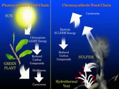 the biological conversion of one or more carbon molecules or methane as a source of energy, rather than sunlight, as in photosynthesis