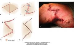 1.along a cicatrix (most commonly used technique for contracture bands in humans)

2.facilitate closure of nearby wounds

only perform when sufficient laxity parallel to the wound

create central arm perpendicular to the long axis of the wound, at l