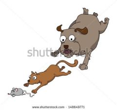 The dog __________ the cat and the cat _________ the mouse.