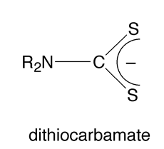 Show how the dithiocarbamate ion bonds to a metal