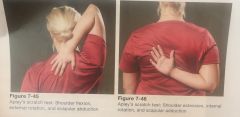 To assess simultaneous movements of the shoulder girdle (primarily scapulothoracic and glenohumeral joints)