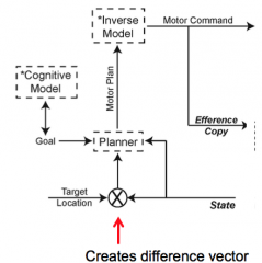 (7) 
-What is the motor plan based on? 
-What is it converted to?
-Where does the efference copy go? 
