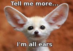 to be all ears